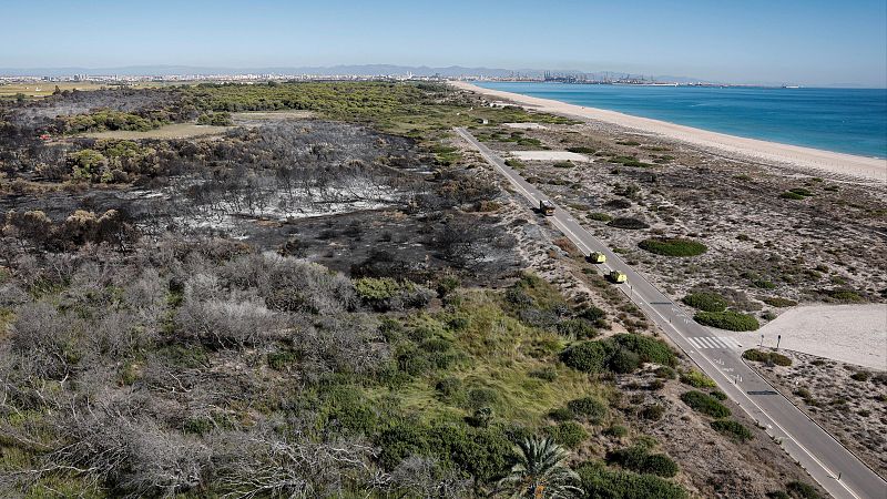 Paisaje costero con vegetación quemada, carretera con vehículos y playa de arena dorada bajo un cielo azul.
