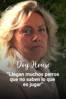 Dog House - Amparo: Muchos cruceros y un amor perruno