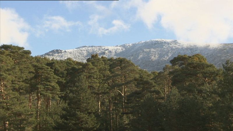 Absorción de carbono: una oportunidad de futuro verde en Soria