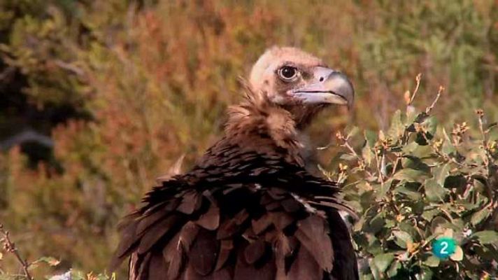 Biodiario - Biodiario - 14/03/13