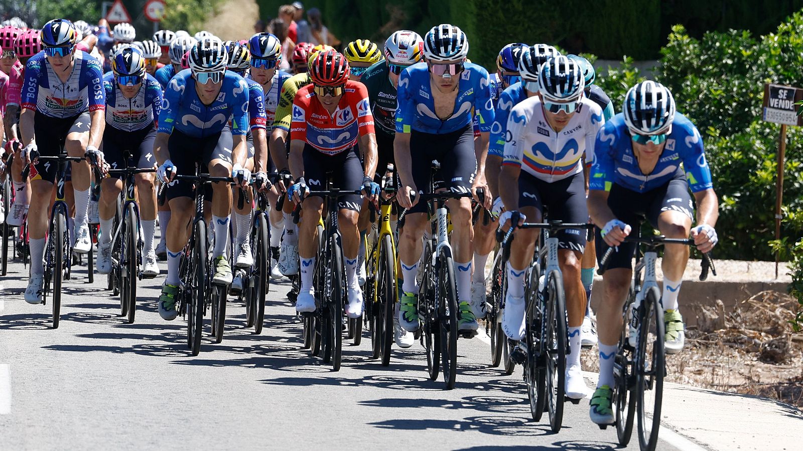 Ciclistas del equipo Movistar compiten en carretera bajo un cielo soleado. Se distingue el cartel "SE VENDE" entre la vegetación.