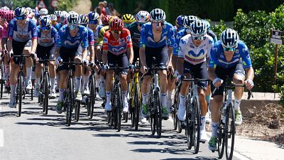 Ciclistas del equipo Movistar compiten en carretera bajo un cielo soleado. Se distingue el cartel "SE VENDE" entre la vegetaci�n.