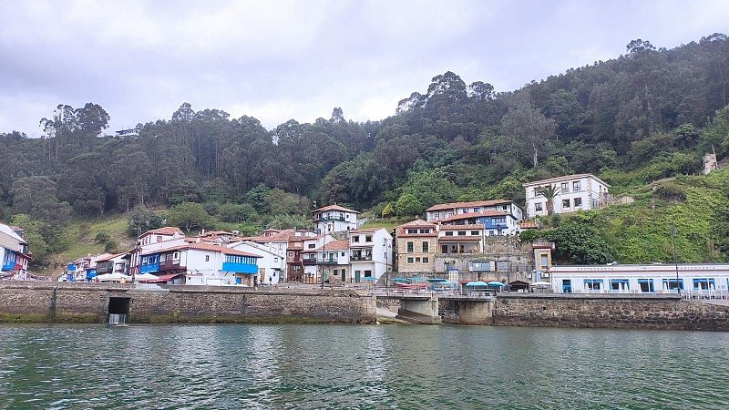 Foto de archivo de Tazones