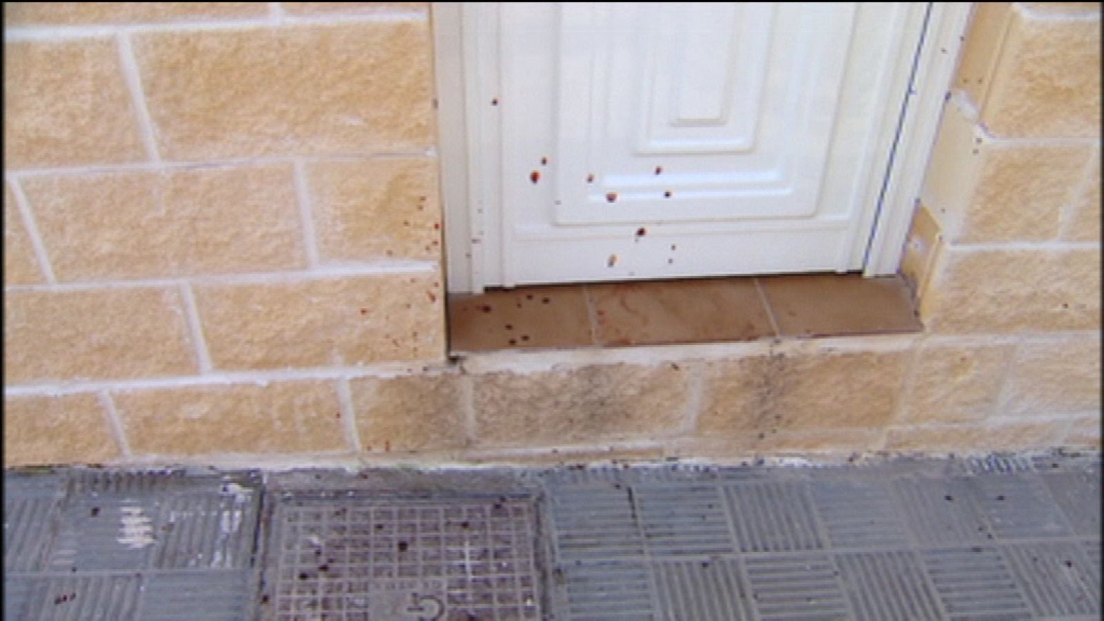 + Canarias - 14/03/13 - +Canarias | Ver