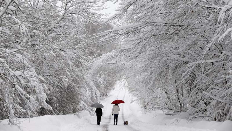 Heladas por las bajas temperaturas