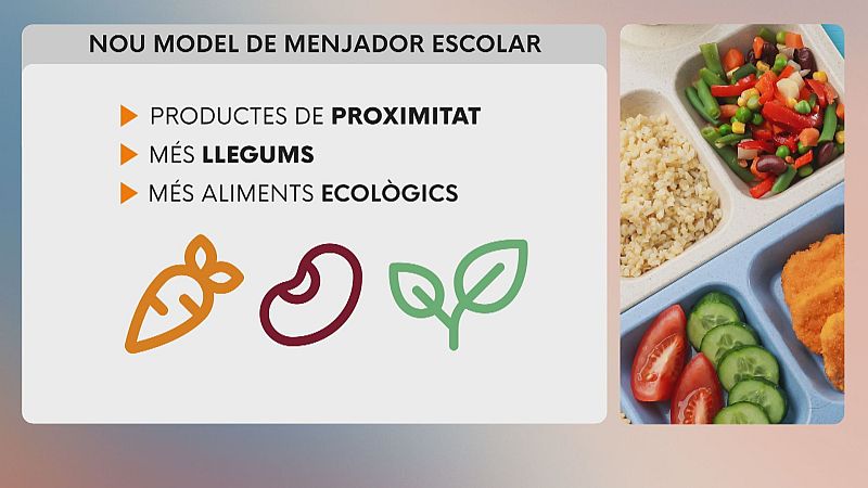 Nuevo modelo de comedor escolar: productos de proximidad, más legumbres y alimentos ecológicos. Se ilustra con bandejas de comida escolar.