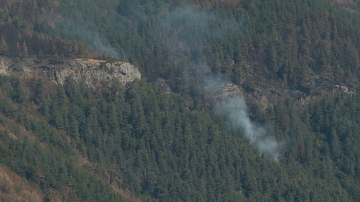 Telenavarra - Se reactiva el incendio de Urzainki