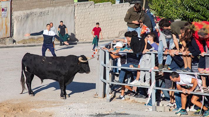 Noticias Murcia - Esta semana arrancan las fiestas patronales de Calasparra