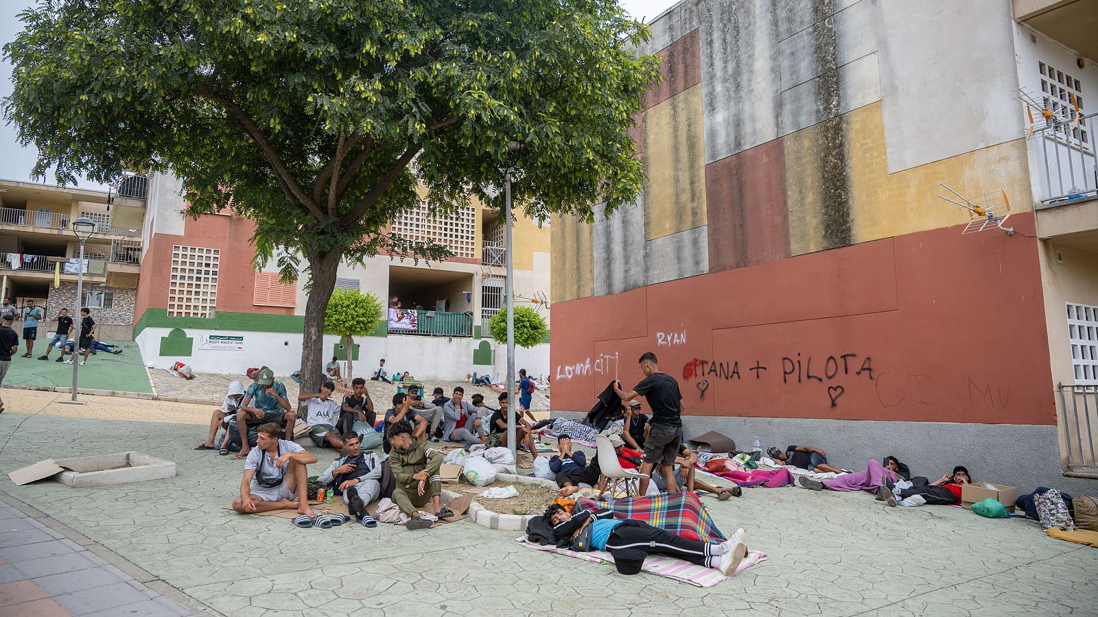 Jóvenes descansan en un espacio urbano pavimentado, sentados o tumbados sobre mantas y cartones, bajo la sombra de un árbol y junto a edificios con grafitis.