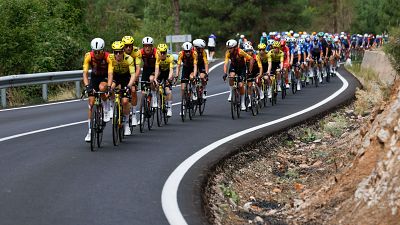 Ciclistas profesionales en plena carrera por una carretera rodeada de vegetaci�n. Los l�deres destacan con maillots amarillos y negros, mientras el pelot�n se extiende detr�s.