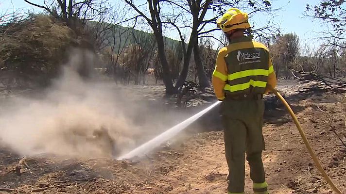 Noticias de Castilla y León - Críticas al operativo de incendios de Castilla y León
