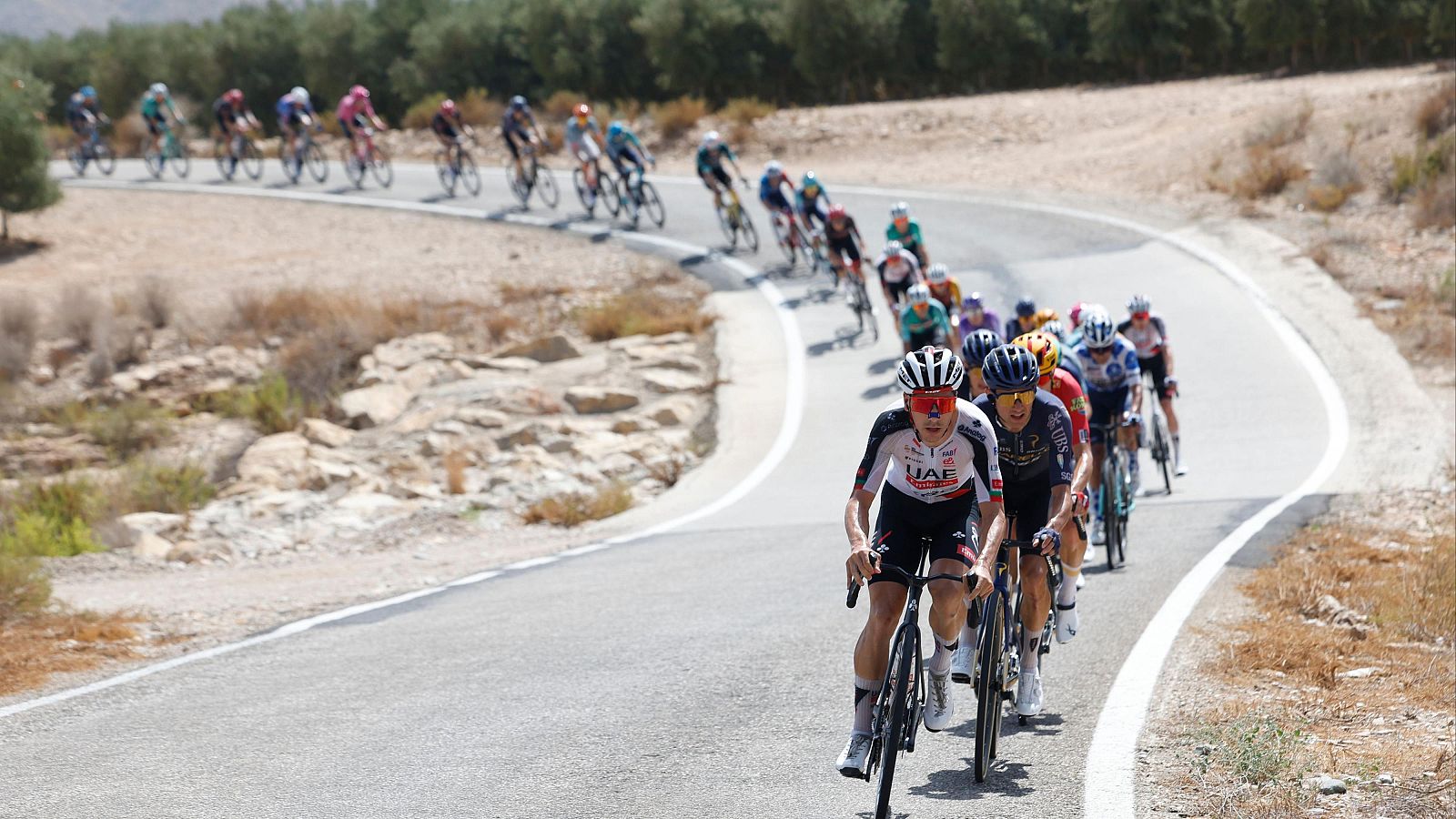 La Vuelta 2026: resumen de la etapa 12 entre Vera y Calar Alto