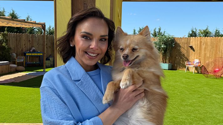 Dog House - 'Dog house': Martes 8, fin de temporada