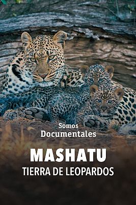 Somos Documentales - Mashatu. Tierra de leopardos