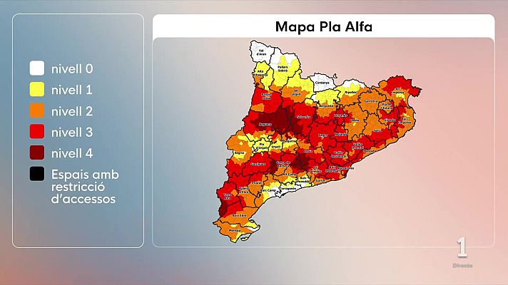 L'Informatiu - Controlat un incendi forestal a Tordera després que cremés un autobús