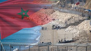Informe Semanal - 05/09/26