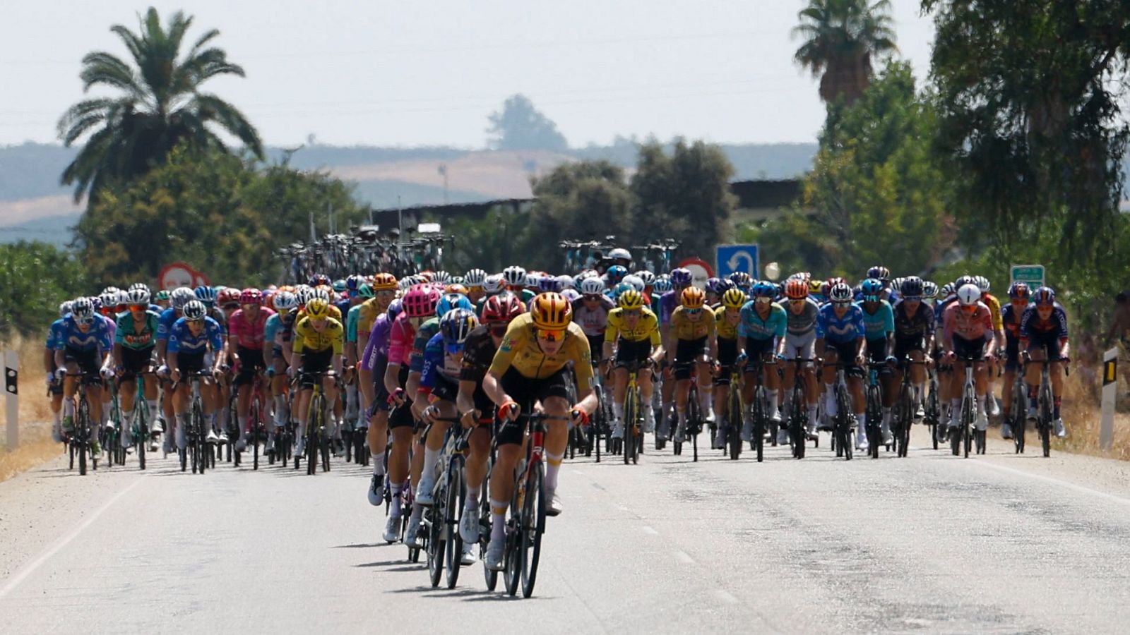 El pelotón durante la 15ª etapa de la Vuelta ciclista a España este domingo entre Palma del Río y Córdoba