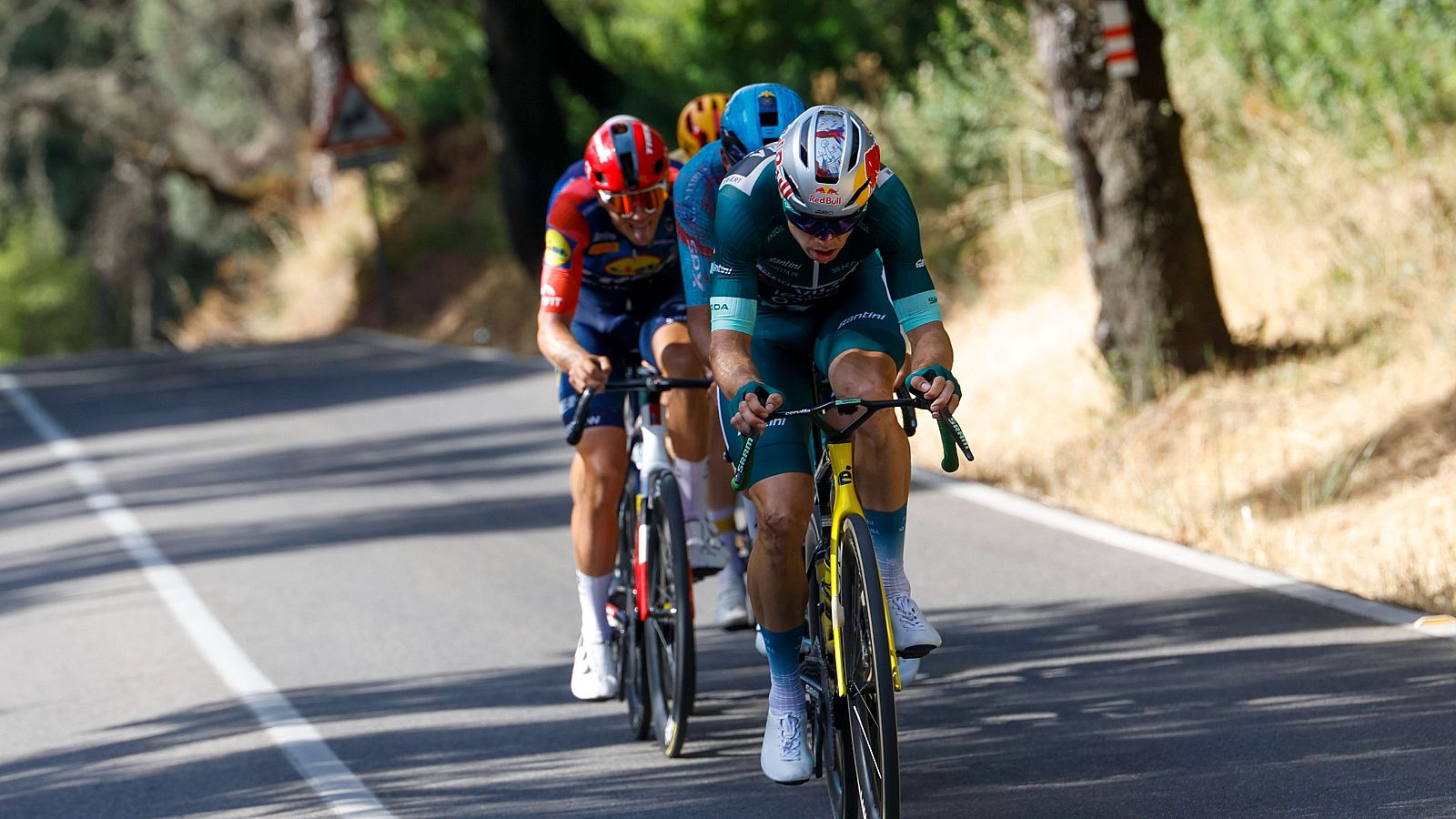Etapa 15: Palma del Río - Córdoba (110,2 km) Media Montaña
