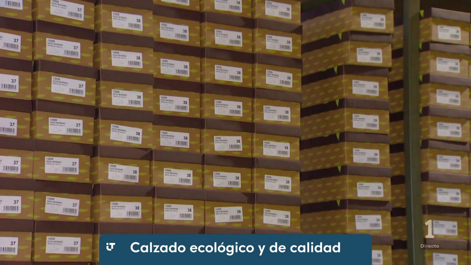 Zapatillas