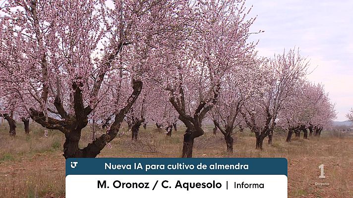 Informativo Telerioja - Informativo Telerioja - 07/09/26