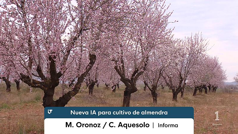 Informativo Telerioja - 07/09/26