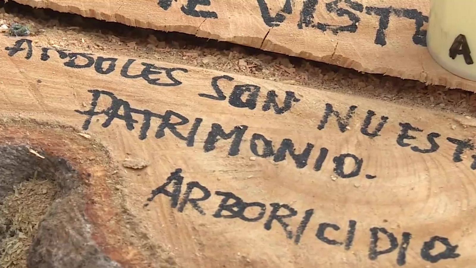 Piezas de madera cortada con mensajes escritos a mano: "ÁRBOLES SON NUESTROS PATRIMONIO. ARBORICIDIO", "TE VISTO" y la letra "A" sobre un cilindro blanco.