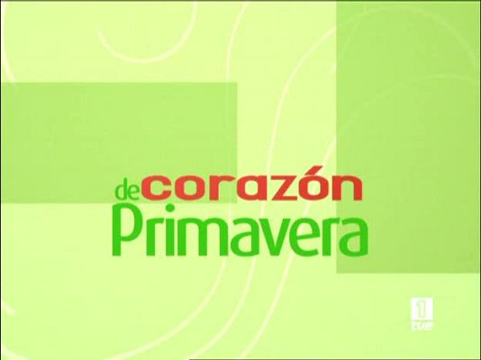 D Corazón - Corazón de primavera - 20/06/08