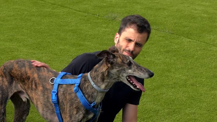 Dog House - Luis: Un amor incondicional por los galgos