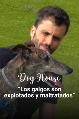Dog House - Luis: Un amor incondicional por los galgos