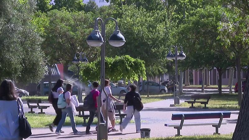 Un grupo de estudiantes camina por un sendero soleado en un campus universitario, rodeado de árboles y bancos.