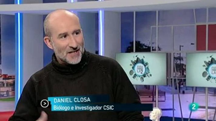 Para todos La 2 - El origen de la fibromialgia