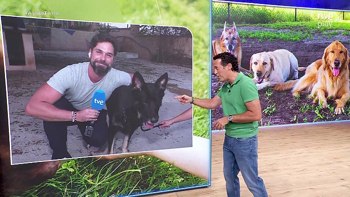 Aquí la Tierra - Aquí la Tierra - 08/09/26