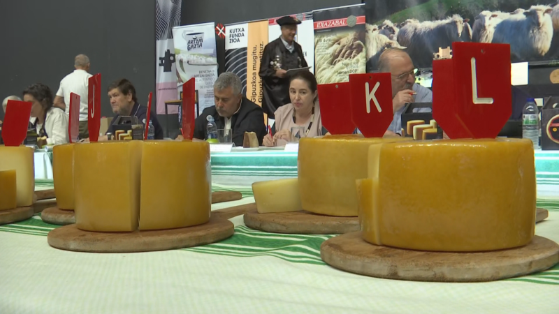 Expertos gastronómicos catan los quesos presentados al concurso de Ordizia