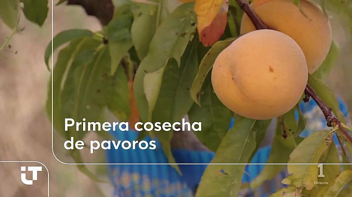 Informativo Telerioja - Telerioja en 2' - 10/09/26