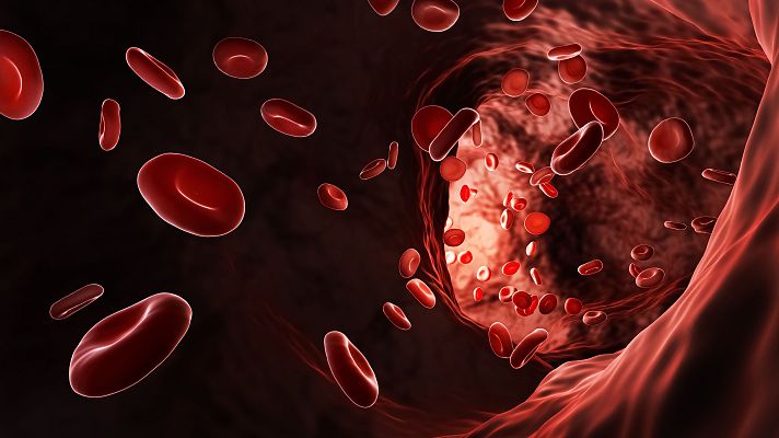 Telediario 1 - 'Human universe', un viaje por el interior del cuerpo humano