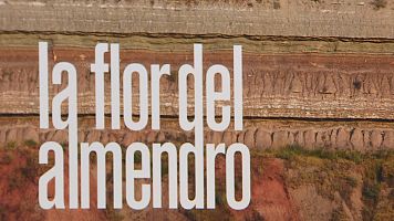 Estreno del documental 'La Flor del Almendro' en el Teatro Bret�n de Logro�o