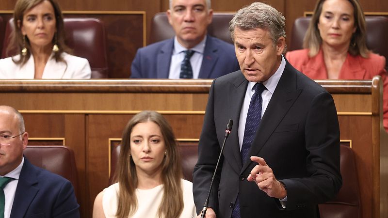 El presidente del Partido Popular, Alberto Núñez Feijóo, durante una sesión plenaria en el Congreso de los Diputados
