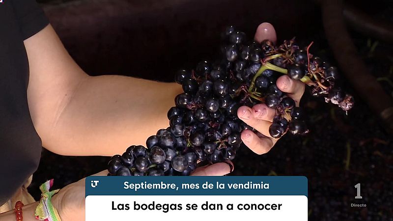Informativo Telerioja - 14/09/26