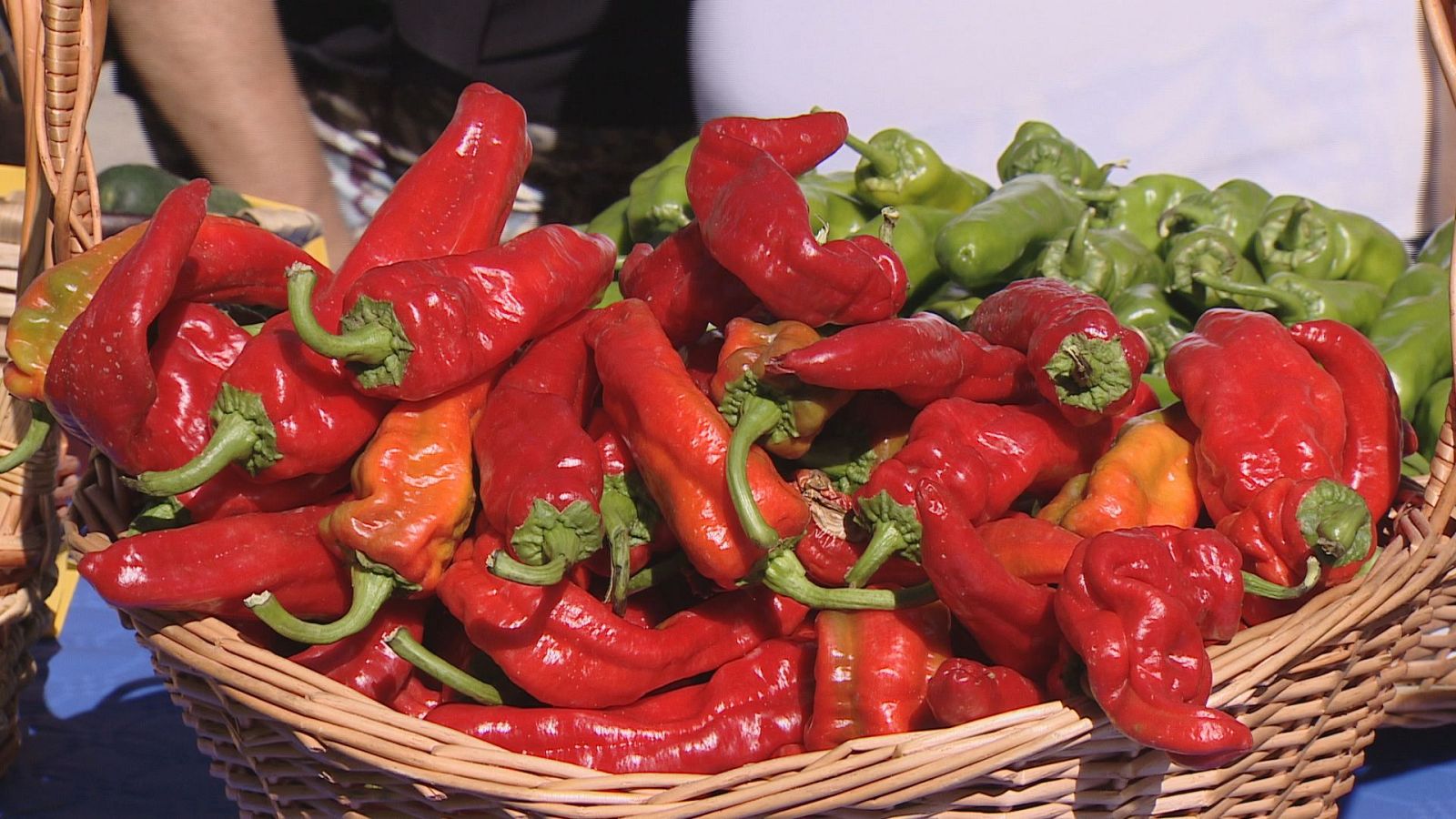 El Concurso Agrícola de La Rioja llena de productos de la huerta el Paseo de Espolón de Logroño