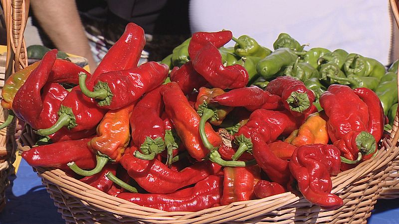 El Concurso Agrícola de La Rioja llena de productos de la huerta el Paseo de Espolón de Logroño