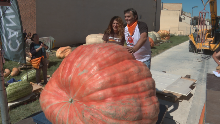Telenavarra - Las calabazas gigantes llegan a Valtierra