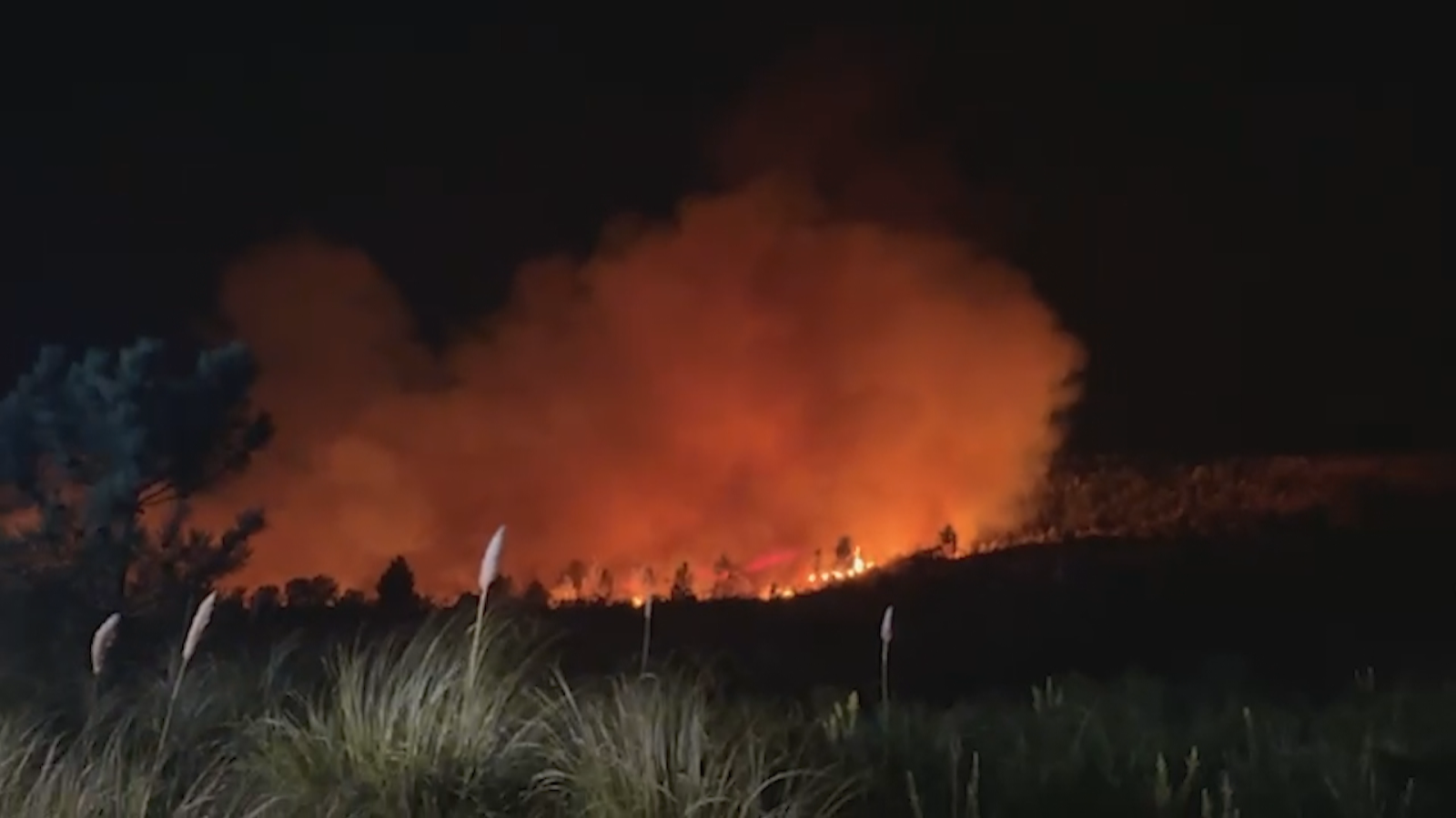 El incendio de Derio ha quemado 95 hectáreas de matorral