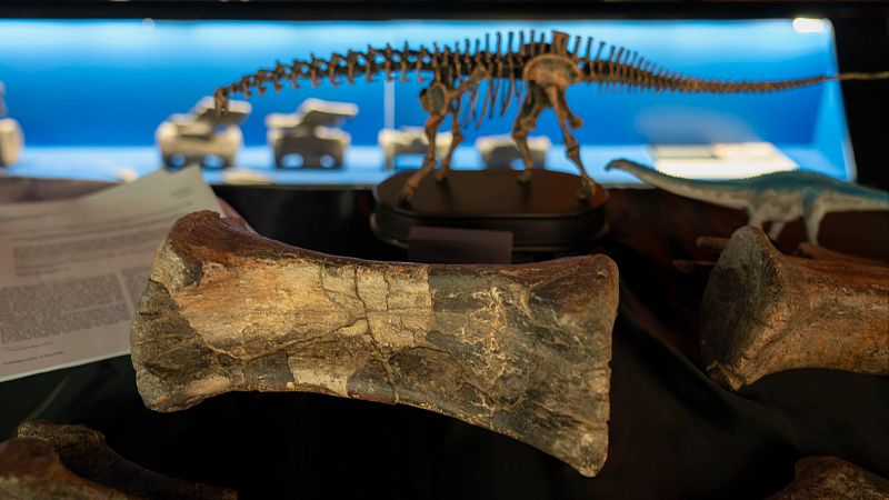 El primer diplodocus europeo descubierto es de Teruel
