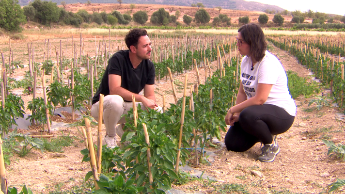 Aquí la Tierra - De la huerta al tarro: así se hacen las conservas en Teruel