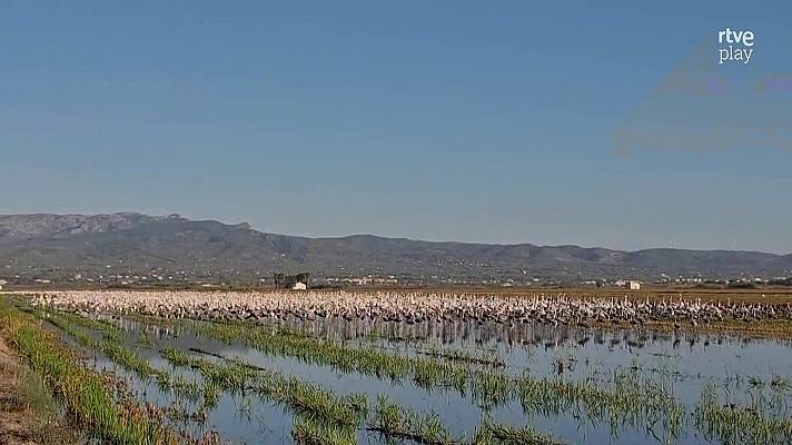 Aquí la Tierra - Aquí la Tierra - 15/09/26