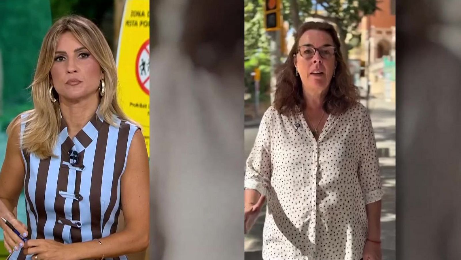 Una restauradora de Collserola conversa amb Danae Boronat sobre les restriccions per la pesta porcina.