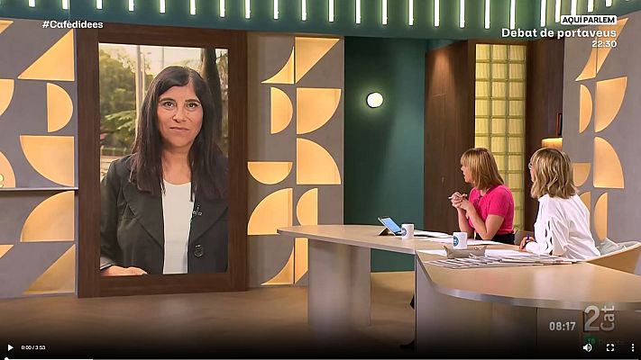 El temps - Aiguats, més de 100 litres, llamps i trons, una bona refrescada