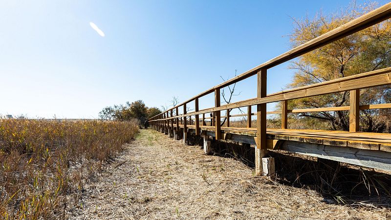 Las Tablas de Daimiel, en Ciudad Real, secas en parte por la sobreexplotación de los acuíferos