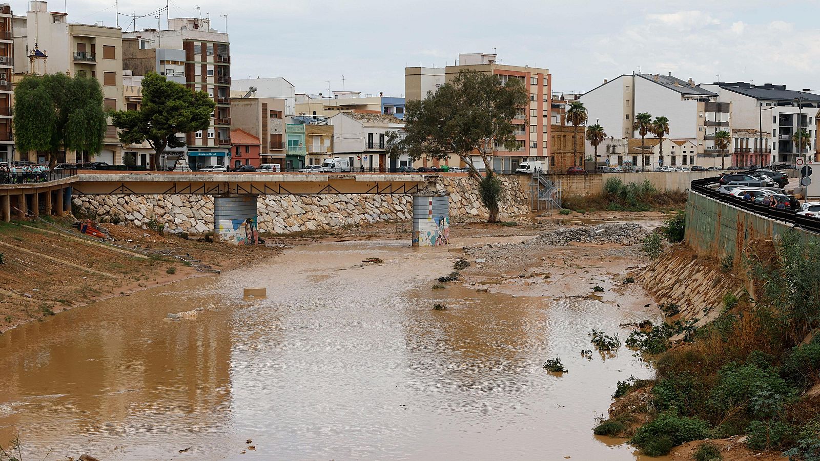 Río urbano con puente de celosía y grafitis, fluyendo entre zonas urbanizadas con edificios, vegetación y vehículos aparcados bajo un cielo nublado.