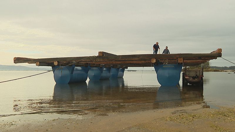 A construción aresanal das bateas do mexillón das rías galegas